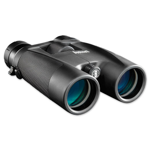 Bushnell PowerView 8-16x40